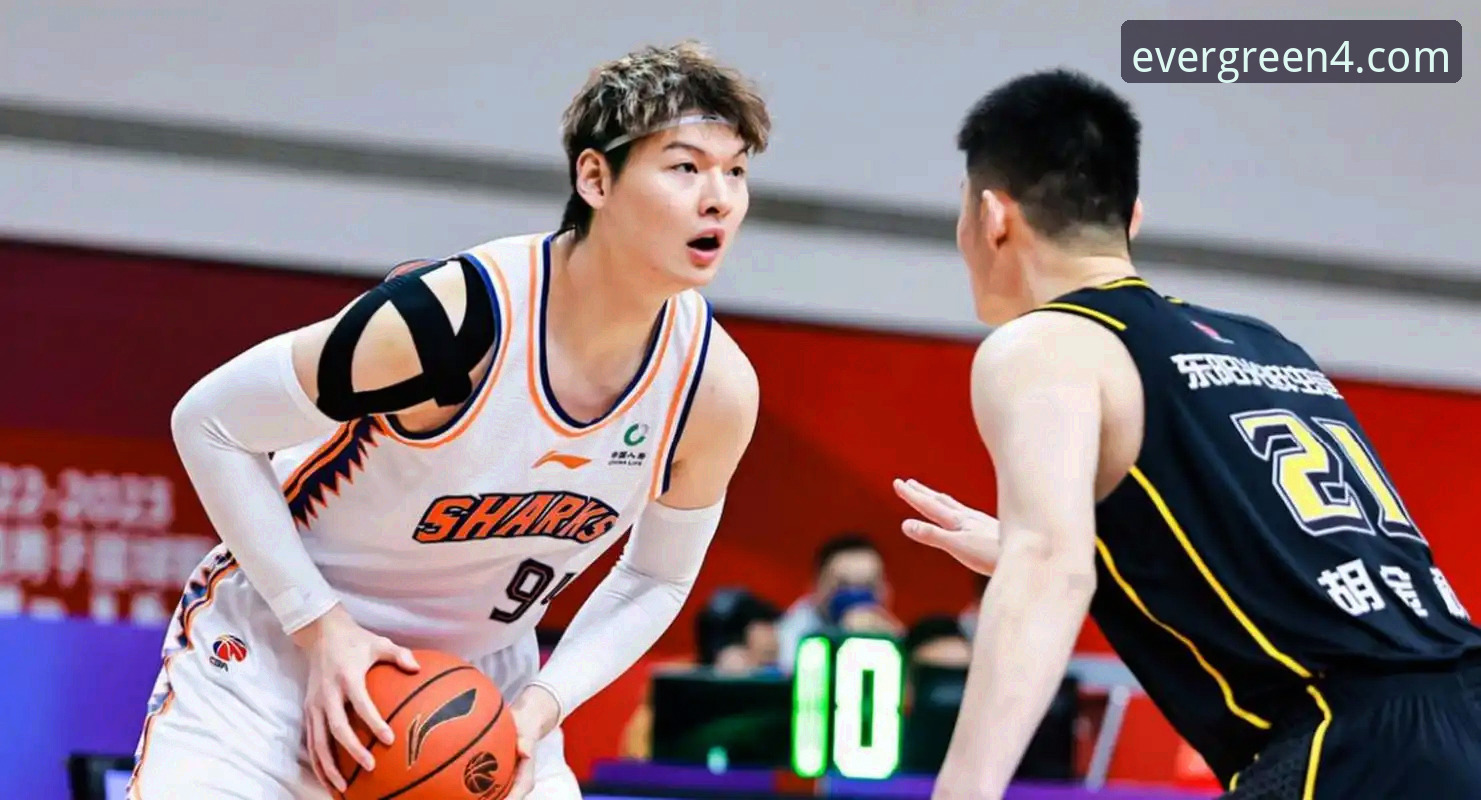 王哲林14年终圆梦：CBA生涯首冠背后的数据密码与赛场深度分析